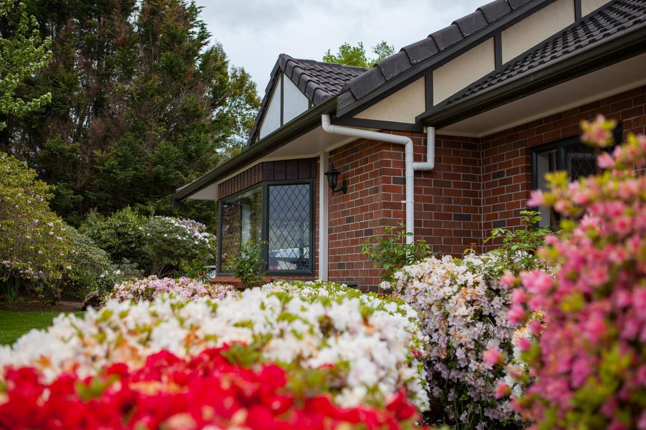 Clover Downs Homestead Rotorua Eksteriør bilde